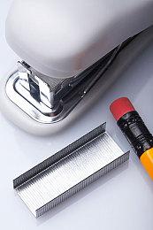 猎奇科普动画电影《跟动物交换身体》预告 10月上映